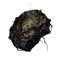 Elden-ring margits-shackle.webp