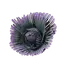 Grandleaf Cabbage