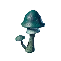Roasted Azure Russula