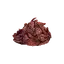 Exquisite Dried Meat