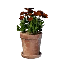 Small Red Flower Pot