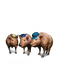 Three Little Pigs