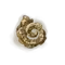 Elden-ring golden-horn-tender.webp