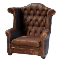 High Elegant Armchair
