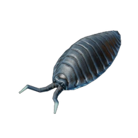 Pillbug