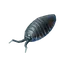 Pillbug