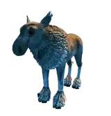 Moose