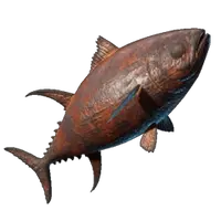 Grilled Yellowfin