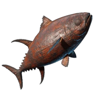 Grilled Yellowfin