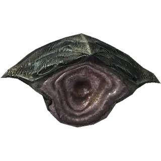 Chaurus Chitin