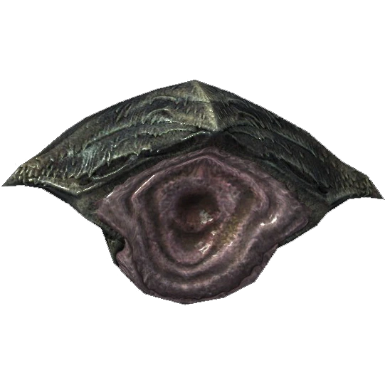 File:Skyrim Chaurus Chitin.webp