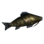 Giant Herring