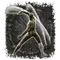 Elden-ring ash-of-war-sword-dance.webp