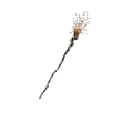 Dragon's Dogma 2 Cardinal Blaze.webp