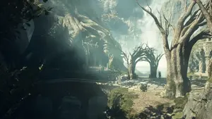 Sacred Arbor