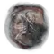 Elden-ring greyolls-roar.webp
