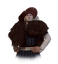 Vserad