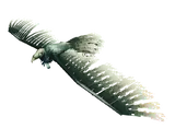 Volture