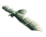 Volture