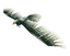 Volture