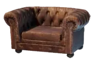 Low Elegant Armchair