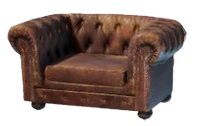 Low Elegant Armchair