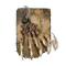 Elden-ring beast-claw-spell.webp