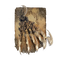 Elden-ring beast-claw-spell.webp