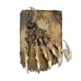 Elden-ring beast-claw-spell.webp