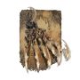 Elden-ring beast-claw-spell.webp