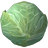 Cabbage