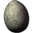 Chicken's Egg
