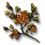 Moleyarrow