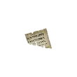Dragon's Dogma 2 Torn Letter.webp
