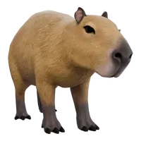Capybara