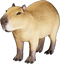 Capybara