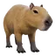 Capybara