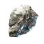 Shield