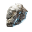 Shield