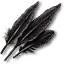 Feather