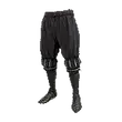 Dragon's Dogma 2 Courtly Breeches.webp
