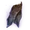 Elden-ring clarifying-cured-meat.webp