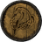 Whiterun Guard's Shield