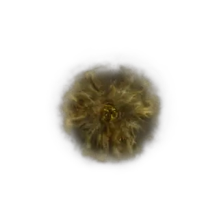 Golden Rune [10]