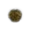 Elden-ring golden-rune-10.webp