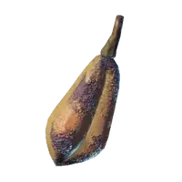 Grilled Yucca Fruit