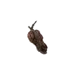 Dragon's Dogma 2 Rotten Princess Harspud.webp