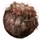Elden-ring hefty-rot-pot.webp