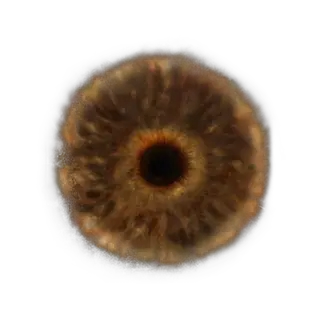 Hero's Rune [4]