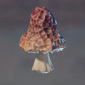 Red Mushroom